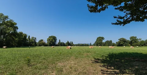 An image depicting the trail Kaiserbach Lehrpfad and its surrounding area.