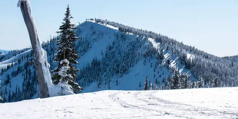 An image depicting the trail Salmo - Priest Divide Loop and its surrounding area.