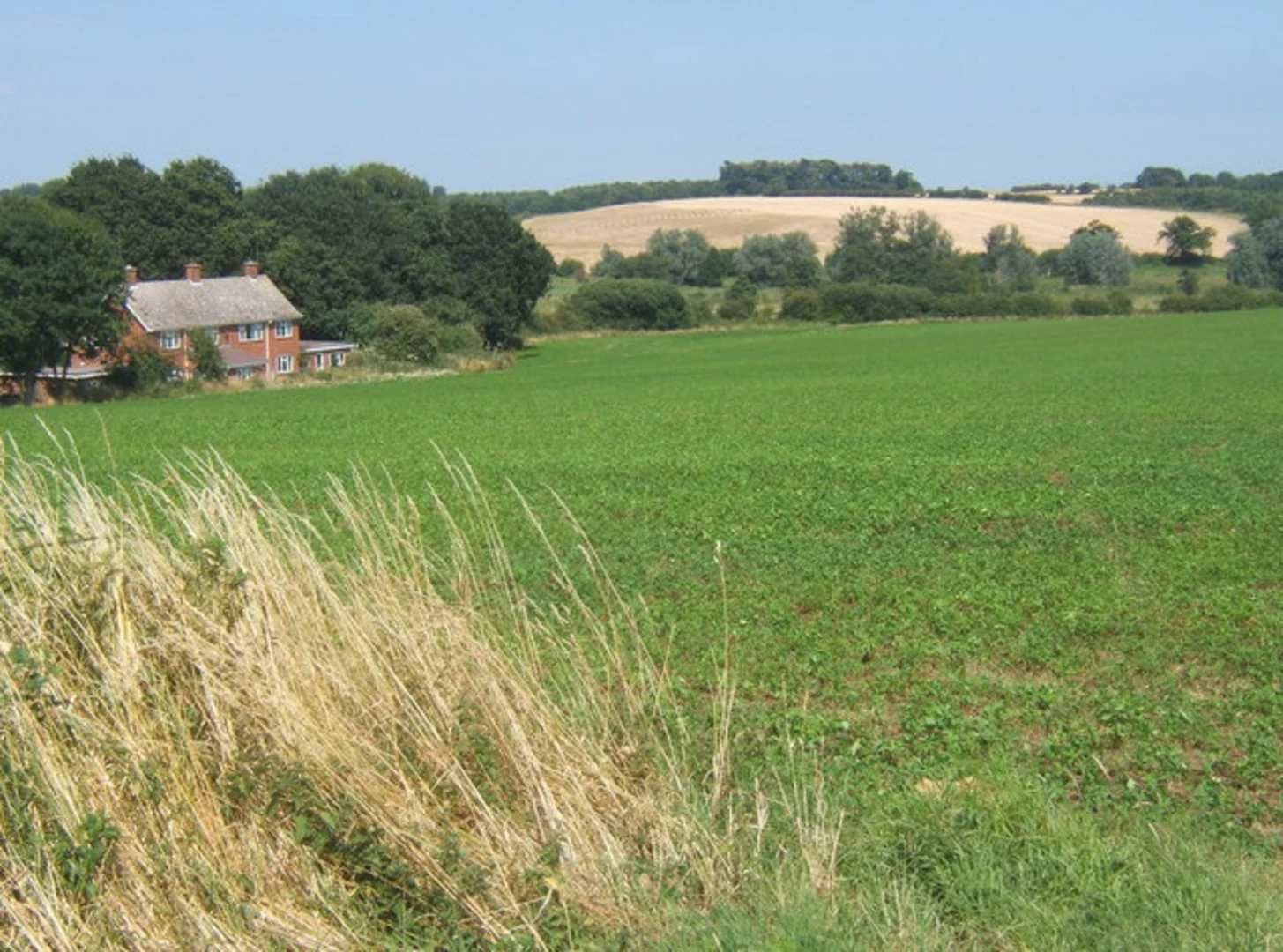 An image depicting the trail Newbourne Hill Loop and its surrounding area.
