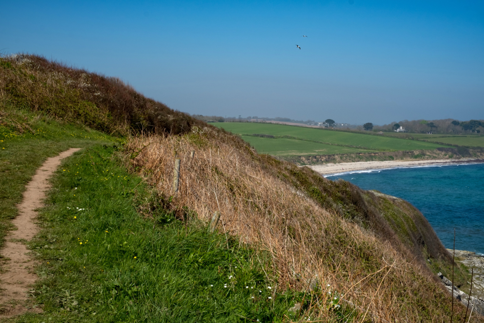 An image depicting the trail The Roseland Peninsula Walk and its surrounding area.