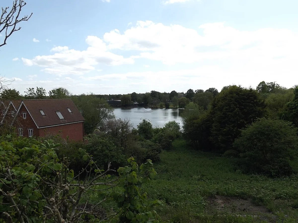 Diss and Palgrave Loop