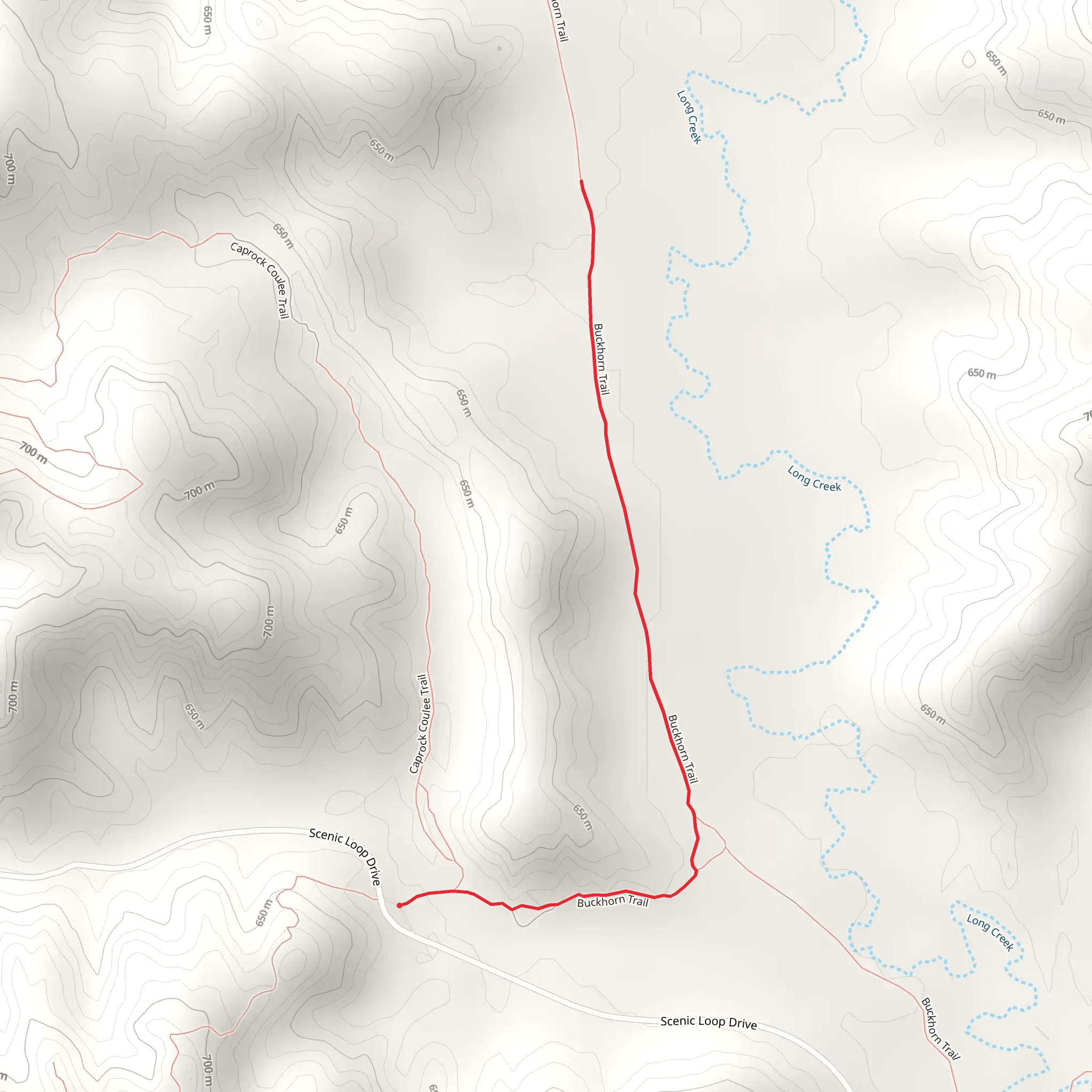 Buckhorn Trail - Short mobile static map