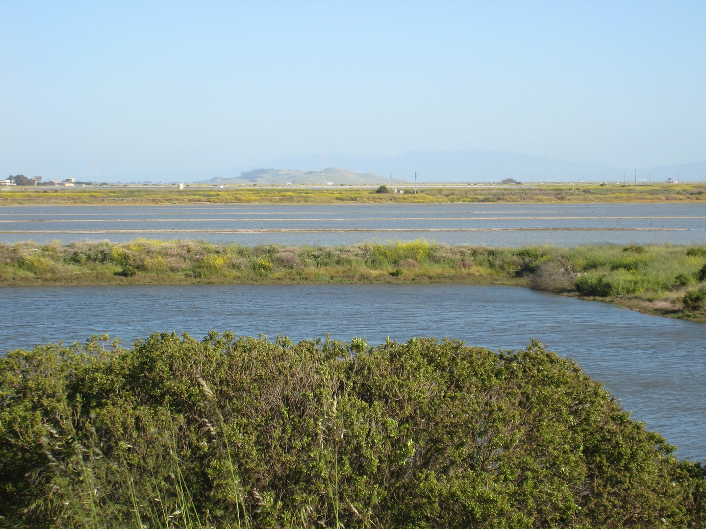 An image depicting the trail San Francisco Bay Trail - West Winton Avenue and its surrounding area.