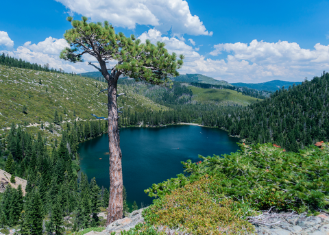 An image depicting the trail Butcher Ranch Trail and its surrounding area.