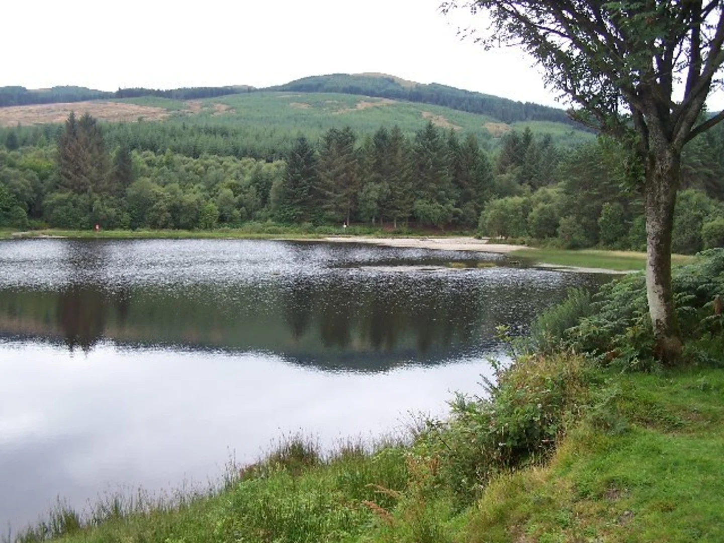 An image depicting the trail Kilbride Hill Loop Trail from Bishop's Glen Reservoir and its surrounding area.