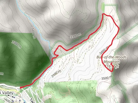 Bull of the Woods Mountain via Wheeler Peak Trail