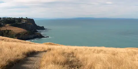 An image depicting the trail Godley Head Out - and - Back from Taylors Mistake and its surrounding area.