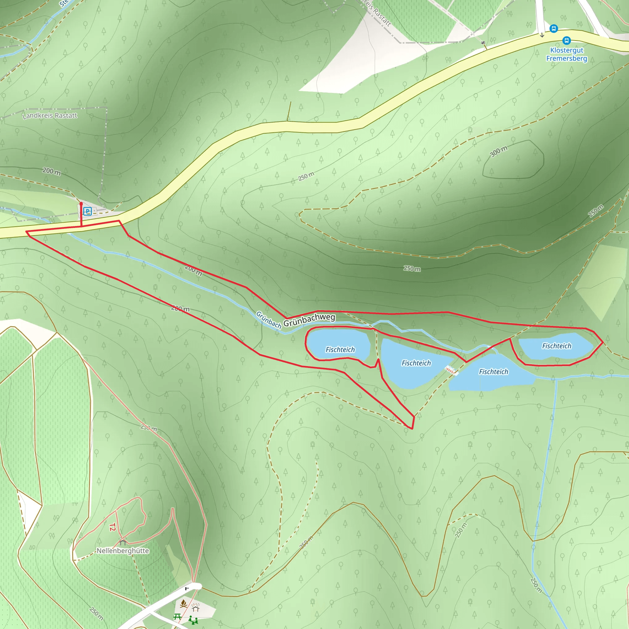 Fischteich Loop via Gruenbachweg mobile static map