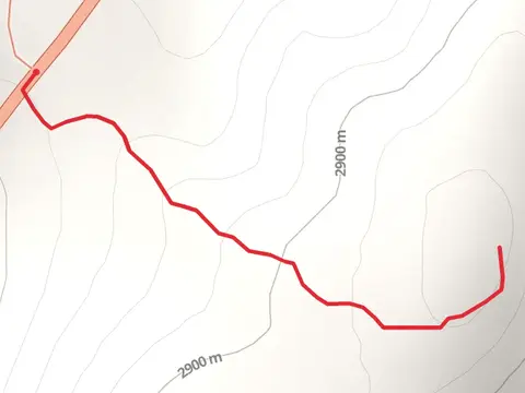 Routt National Forest