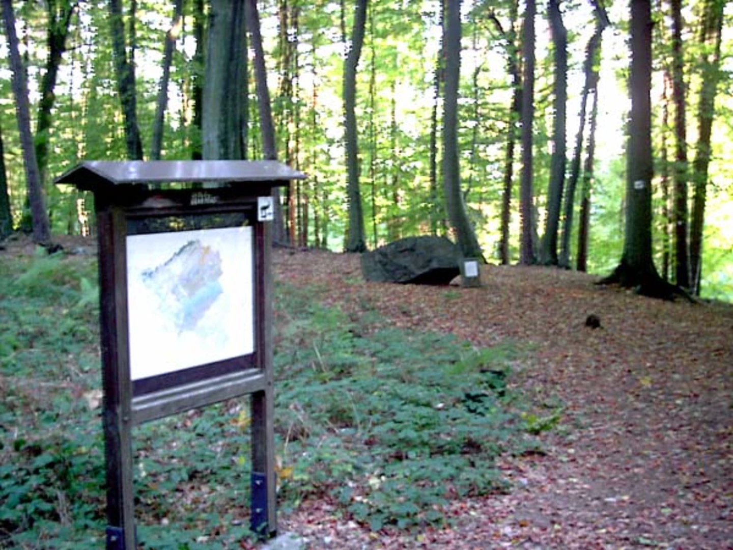 An image depicting the trail Kirkeler Felsenpfad and Kirkeler Tafeltour and its surrounding area.
