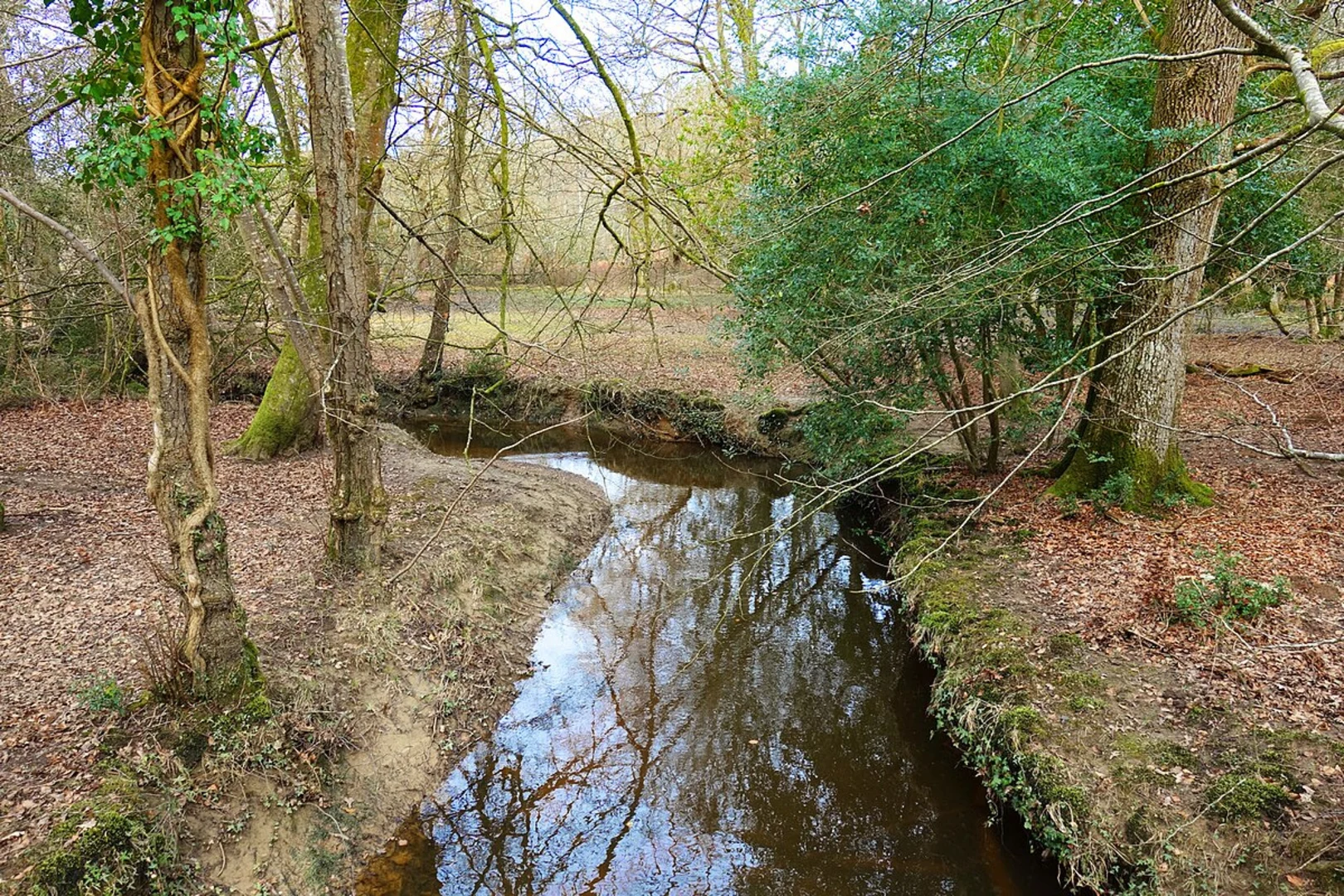 An image depicting the trail Acres Down South Loop - Emery Down and its surrounding area.