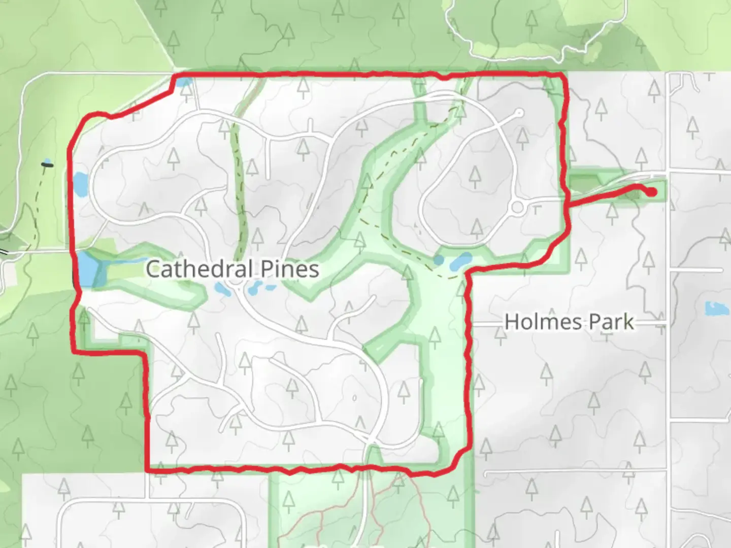 An image depicting the trail Big Forest Regional Park Loop and its surrounding area.