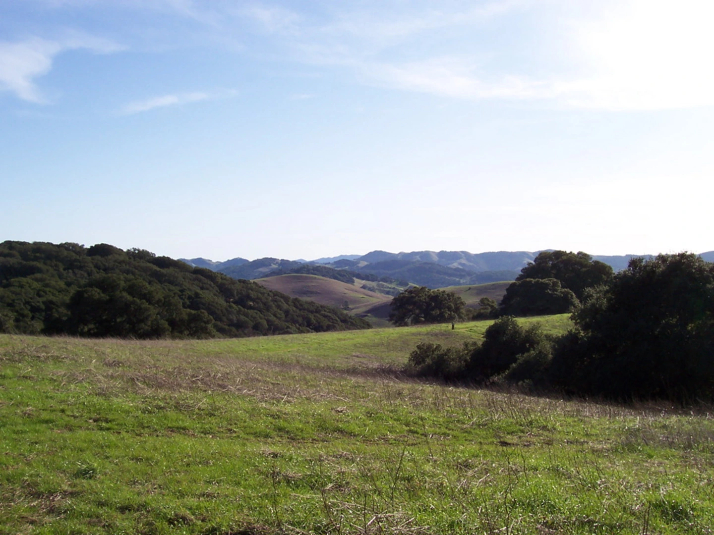 An image depicting the trail Ridge, Savannah and Filaree Loop Trail and its surrounding area.