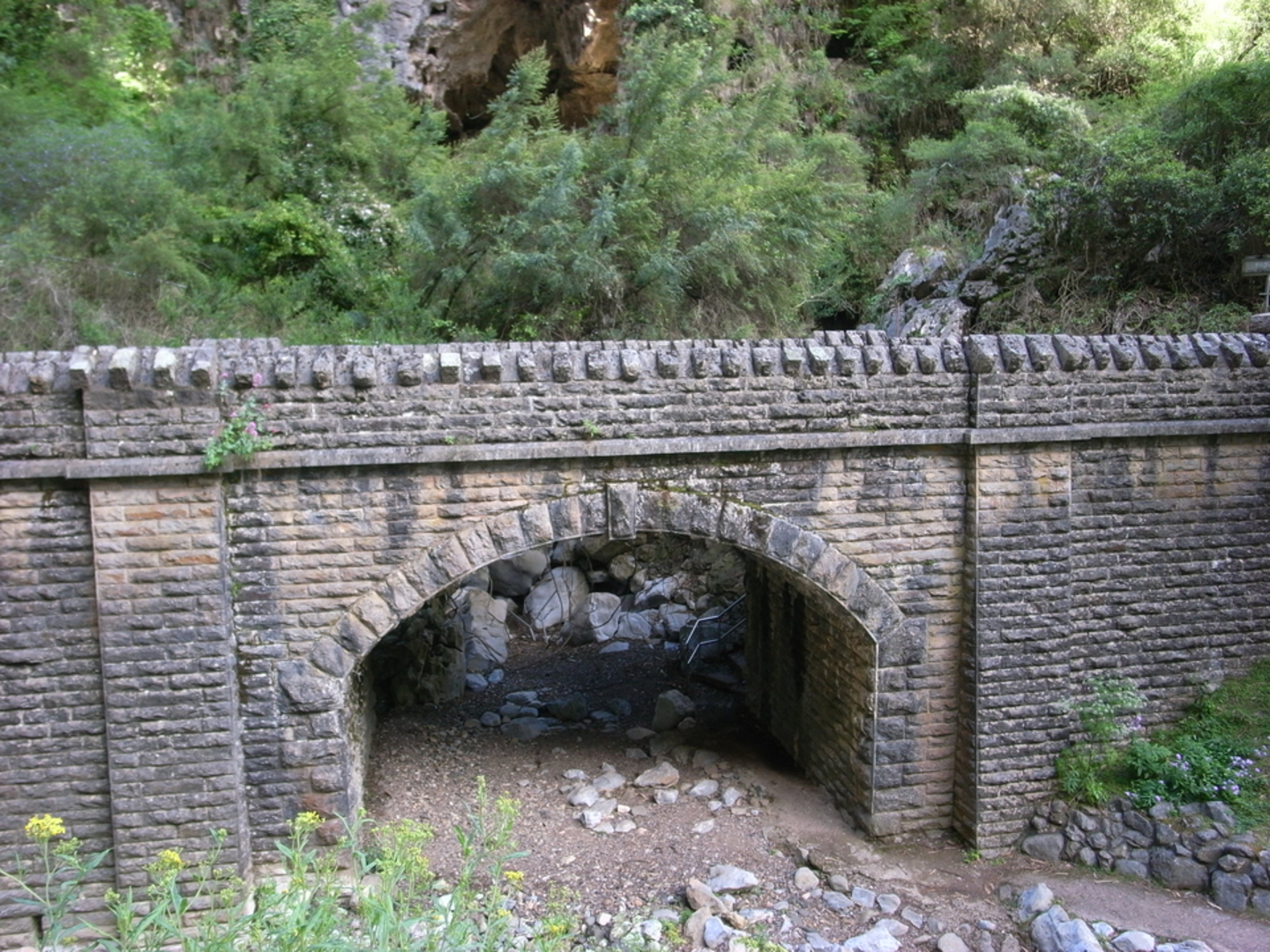 An image depicting the trail Donna Cave to Balancing Rock Track and its surrounding area.