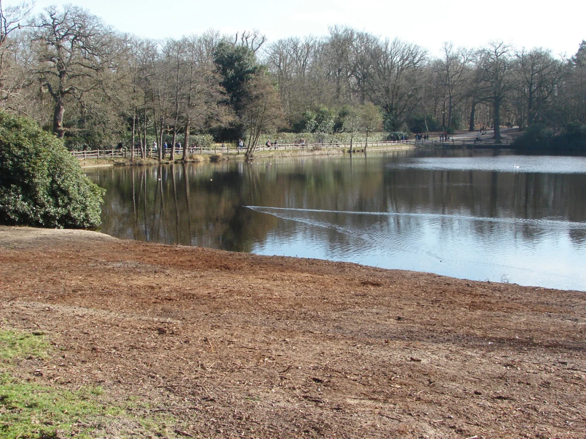 Sunningdale to Windsor Walk