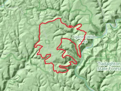 Black Forest Trail Loop