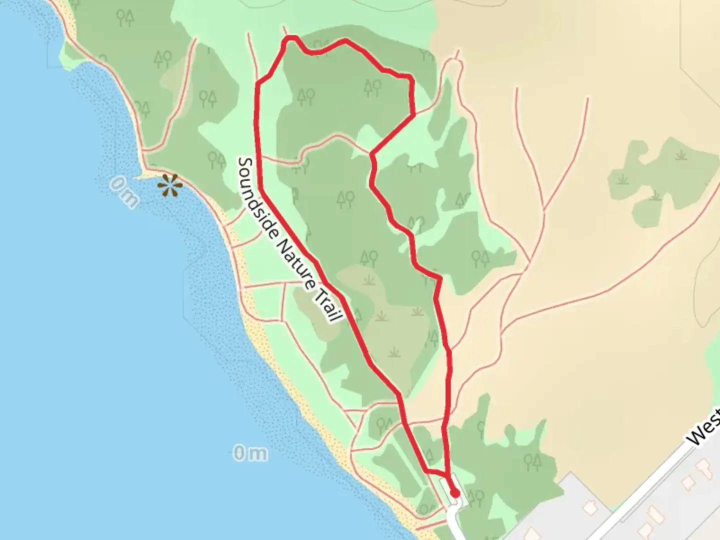 An image depicting the trail Soundside Nature Loop Trail and its surrounding area.