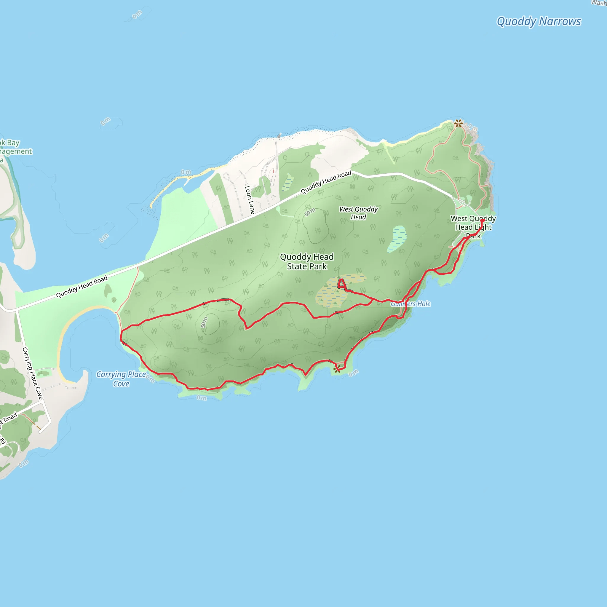Quoddy Head Loop from Quoddy Head Road mobile static map