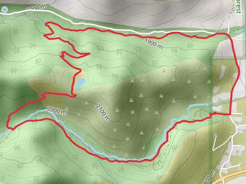 Upper Whites Creek - Dry Pond - Upper Thomas Creek Loop Trail