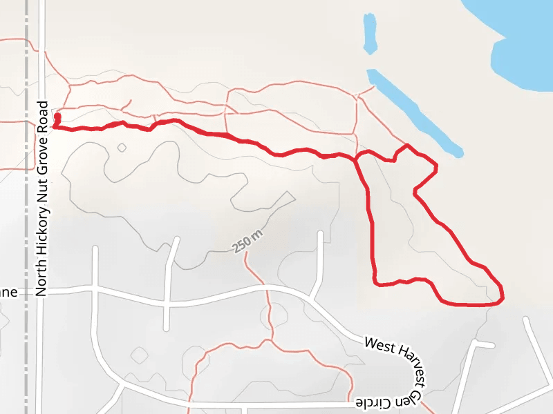 Equestrian and Lyons Loop Trail