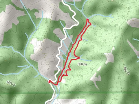 Waters Creek Accessible Trail and Waters Creek Interpretive Trail Loop