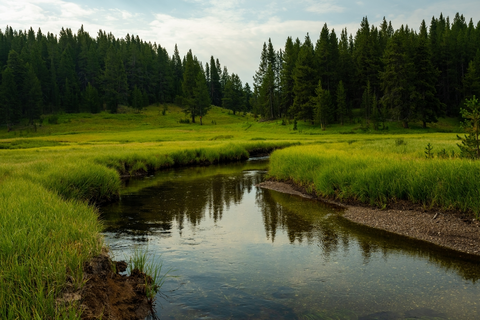 An image depicting the trail Wrangler Lake Trail and its surrounding area.