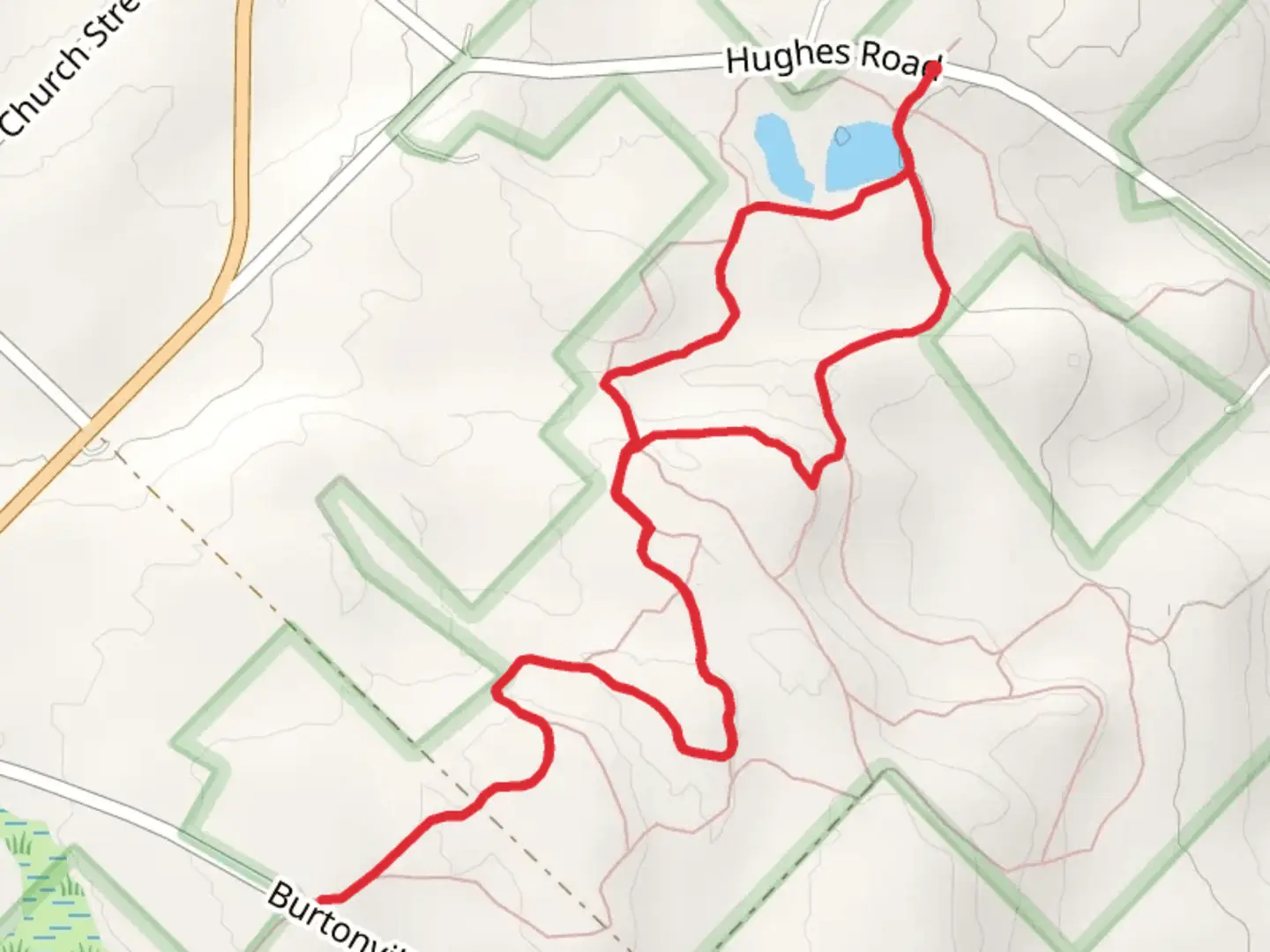 An image depicting the trail Snowmobile Loop Trail and its surrounding area.