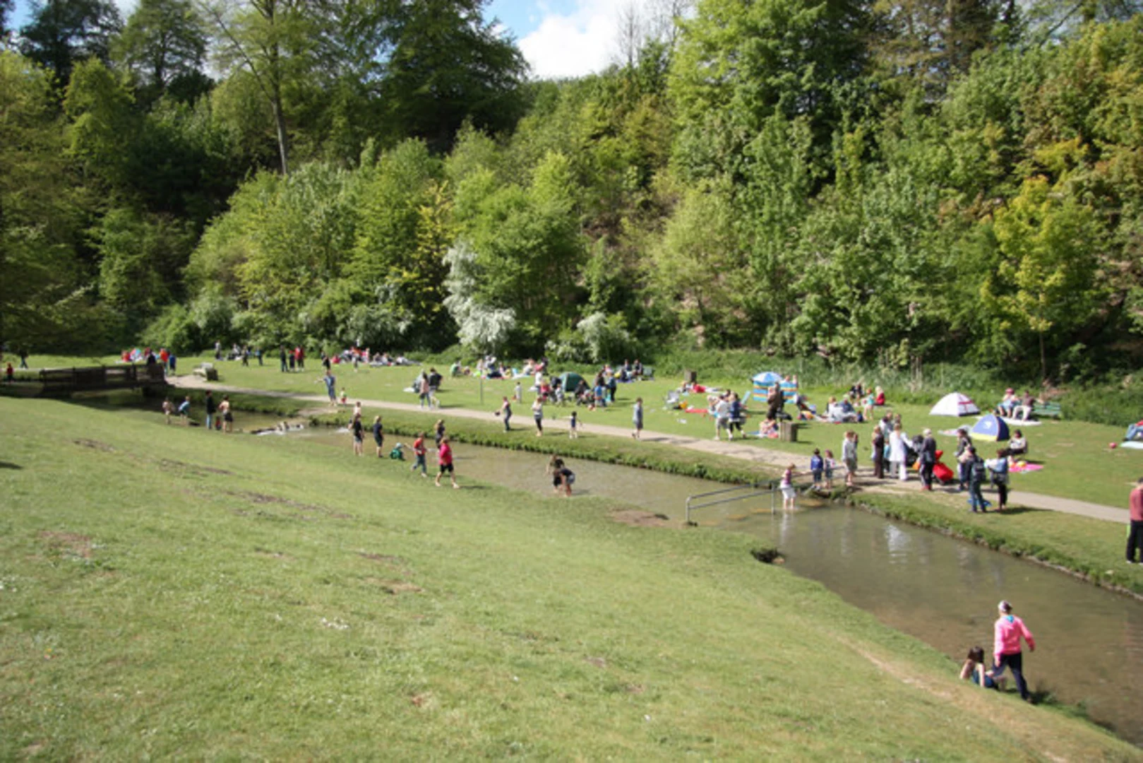 An image depicting the trail Hubbard's Hills Loop and its surrounding area.
