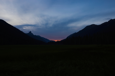 An image depicting the trail North Scatter Creek Trail and its surrounding area.