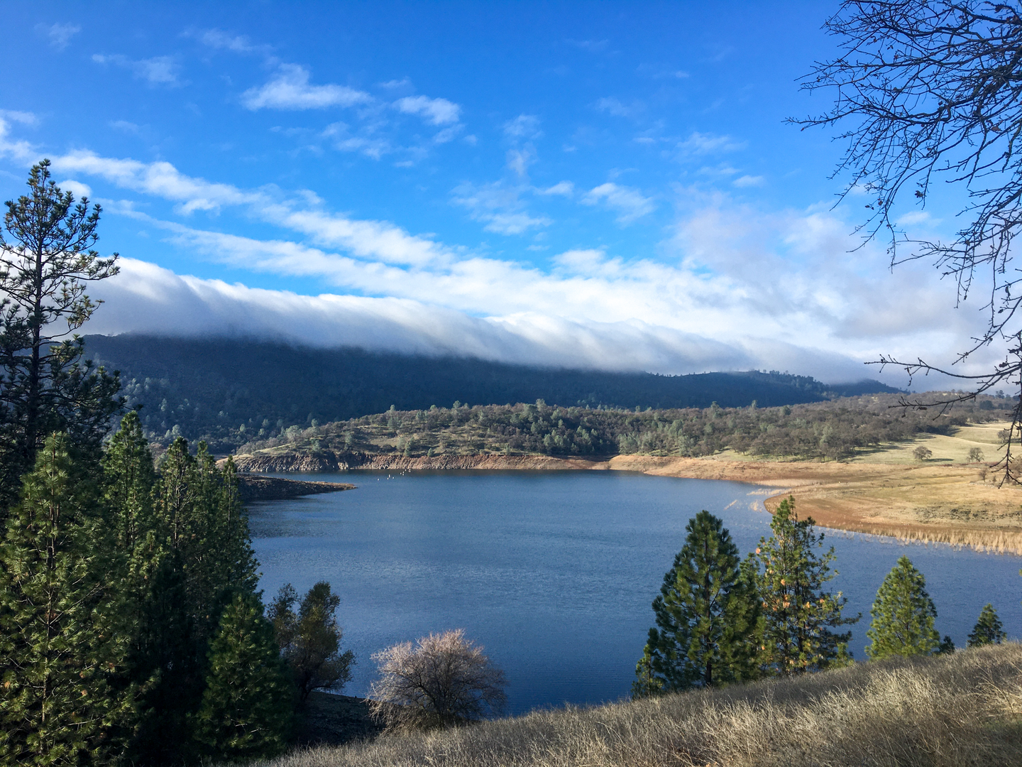 An image depicting the trail Humbug Willow Creek Loop Trail and its surrounding area.