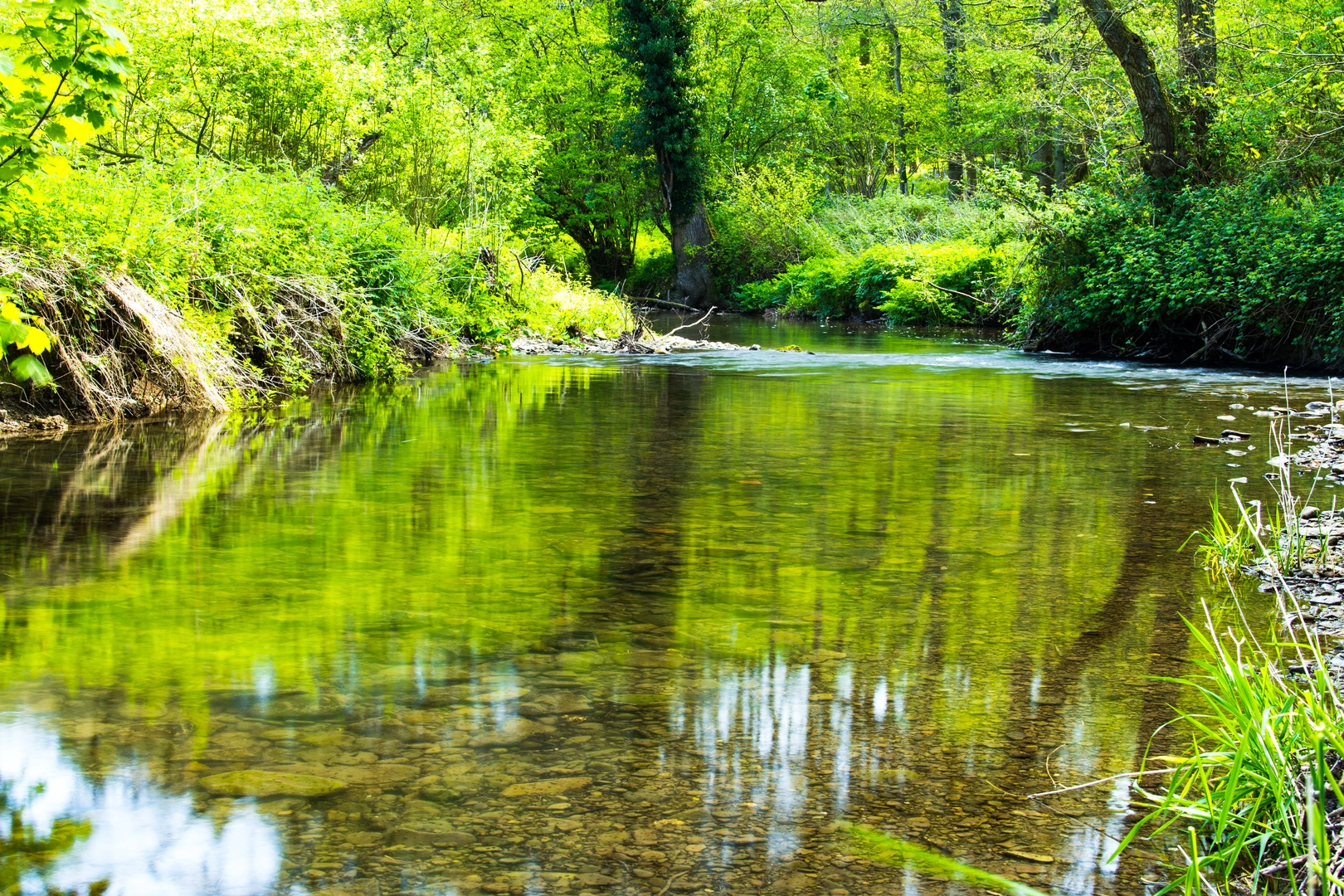 An image depicting the trail Mortimer Trail and its surrounding area.