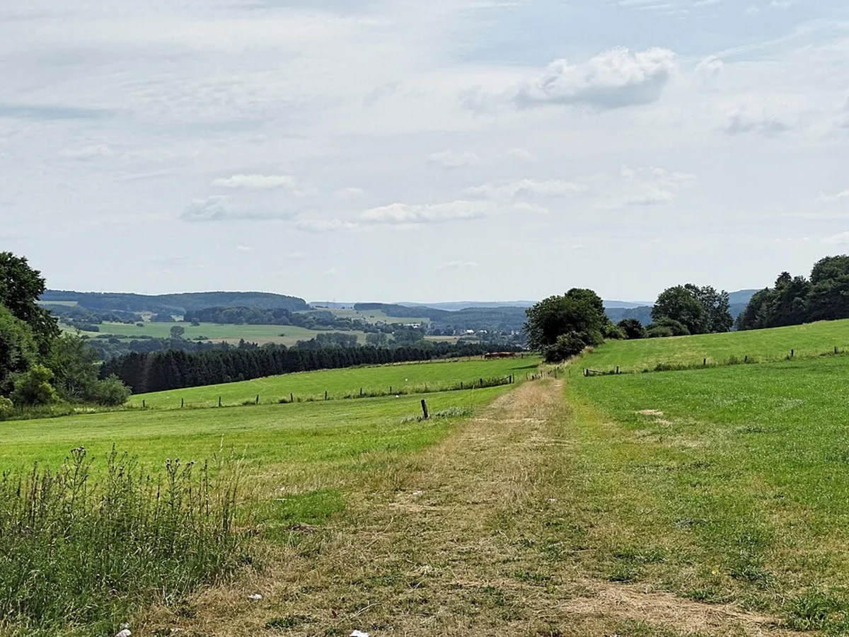 Rothenbach, Etsberg and Effelder Waldsee Loop