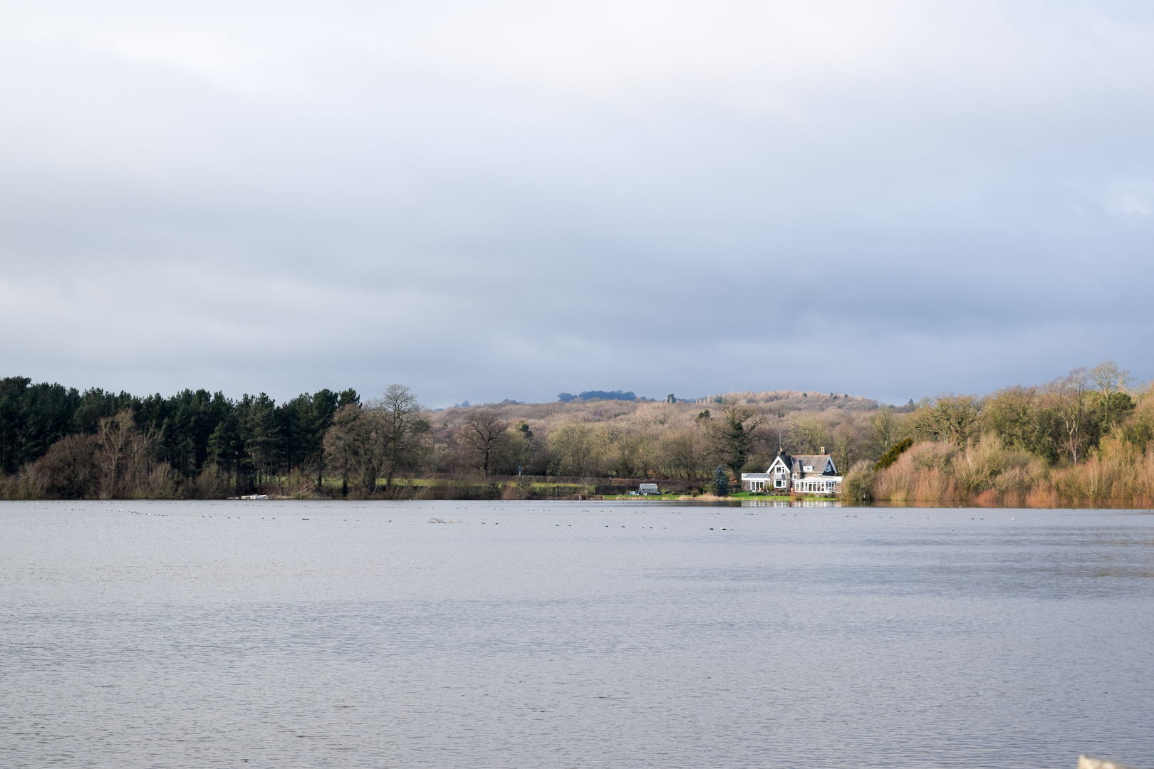 An image depicting the trail Bradgate Park and Swithland Wood and its surrounding area.