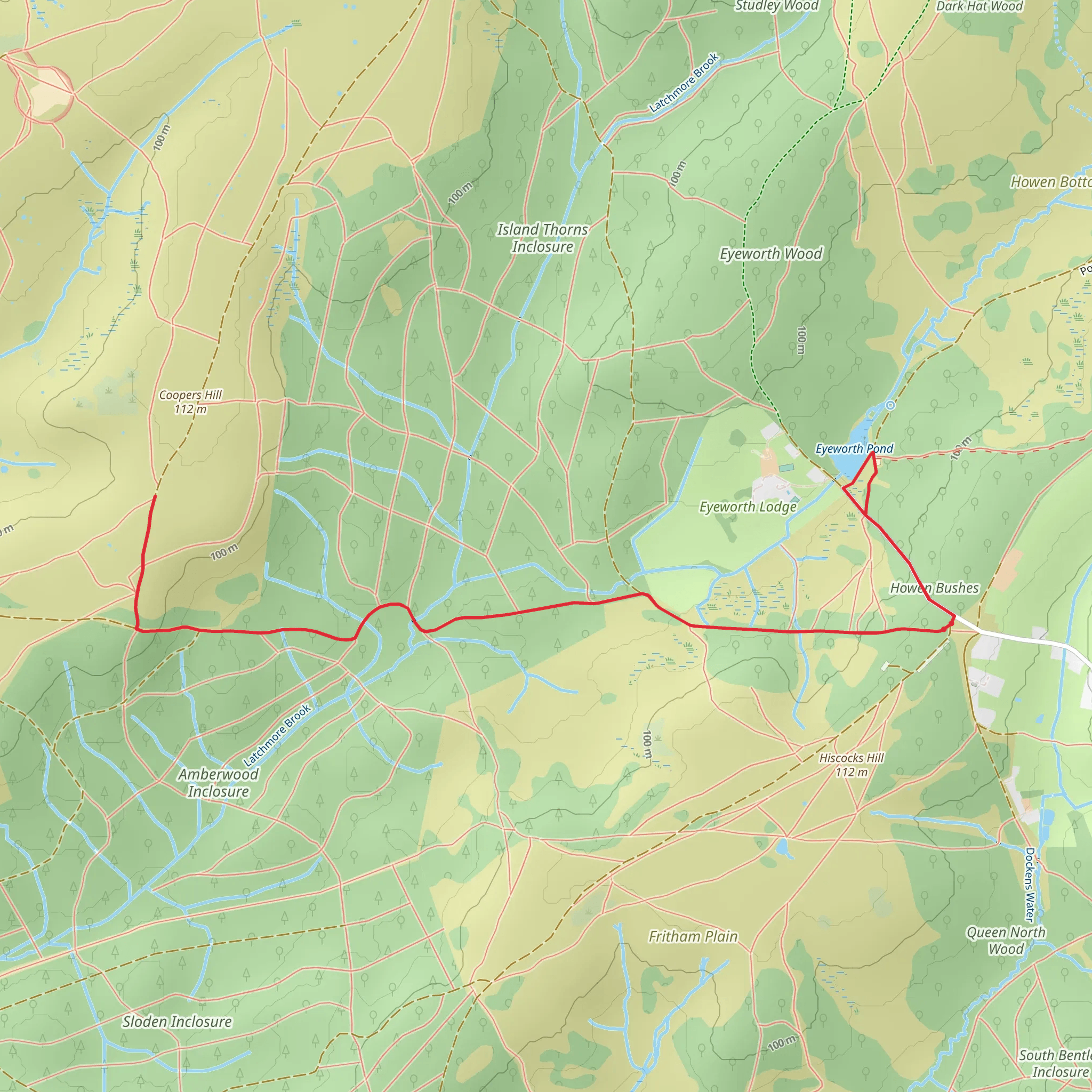 Eyeworth Pond and Ashley Cross from Fritham mobile static map