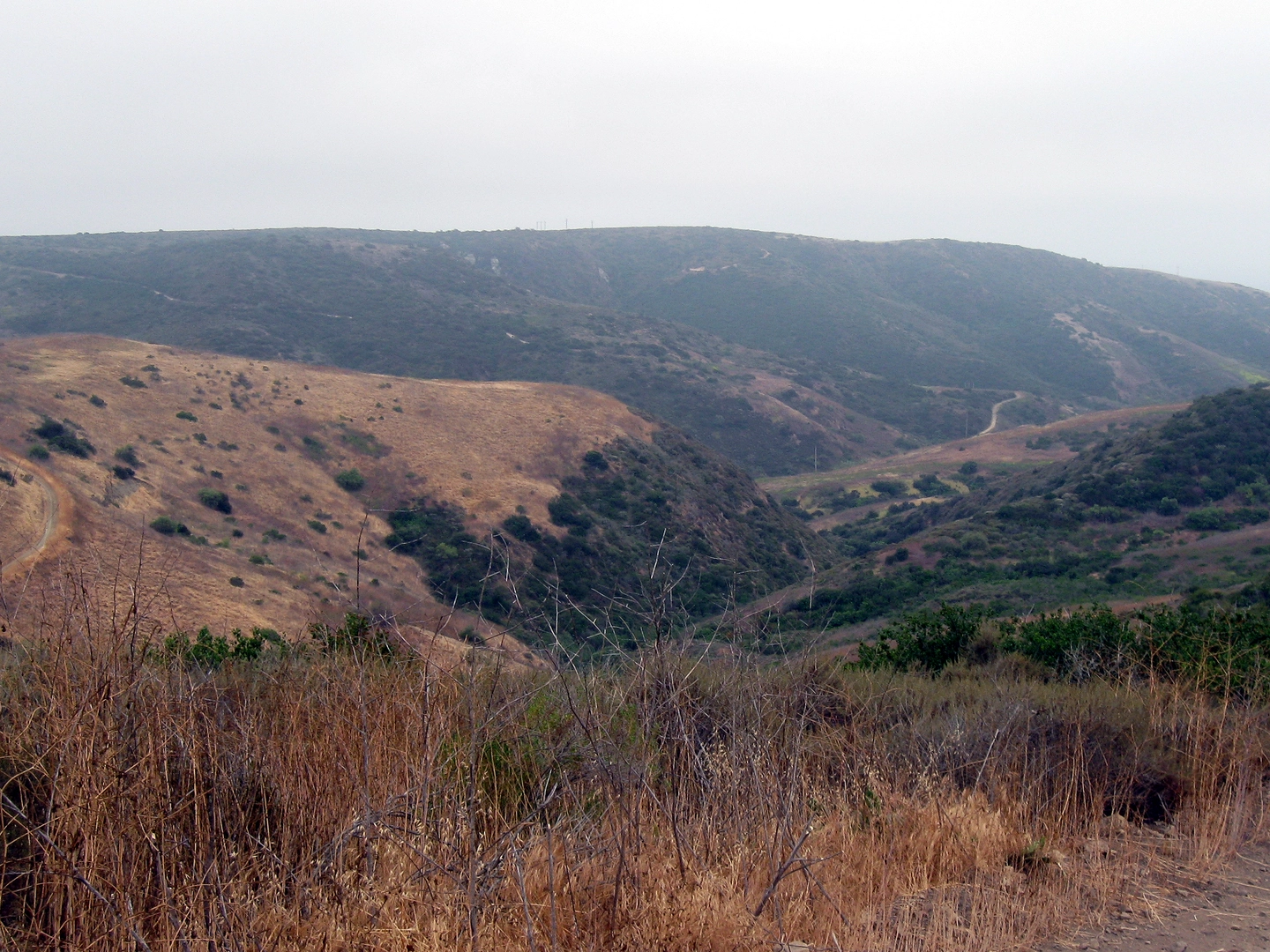 An image depicting the trail Signal Peak Loop and its surrounding area.