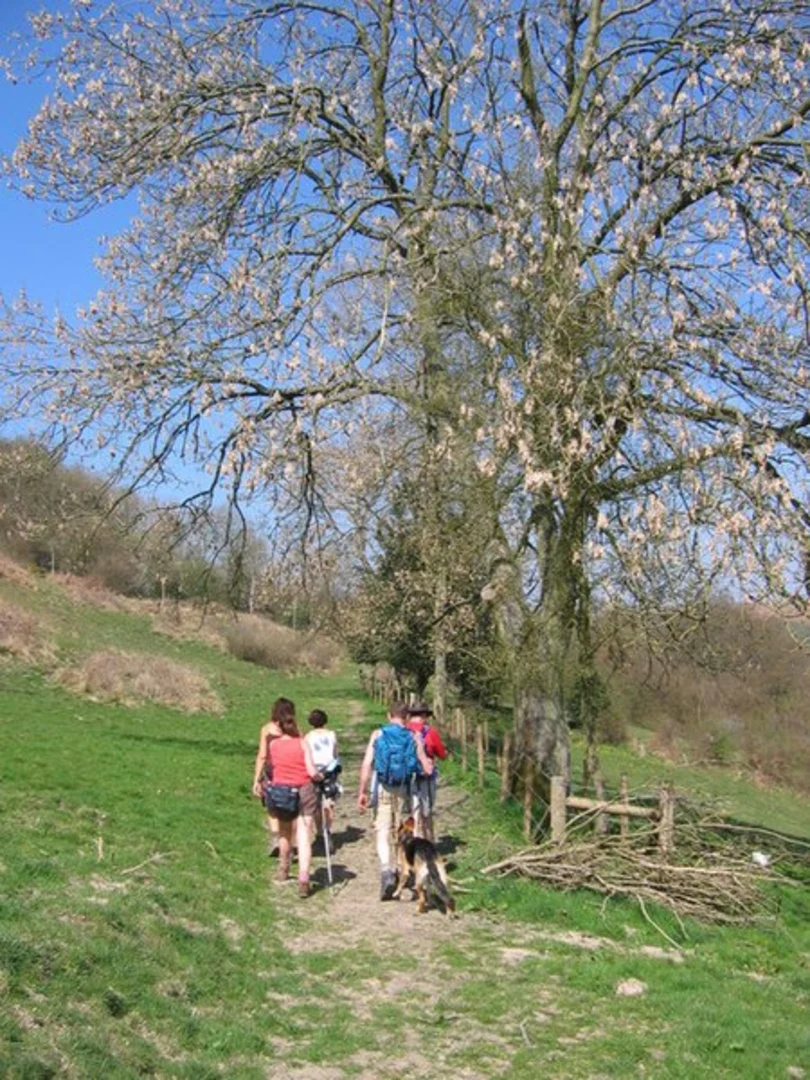 An image depicting the trail Levisham Loop and its surrounding area.