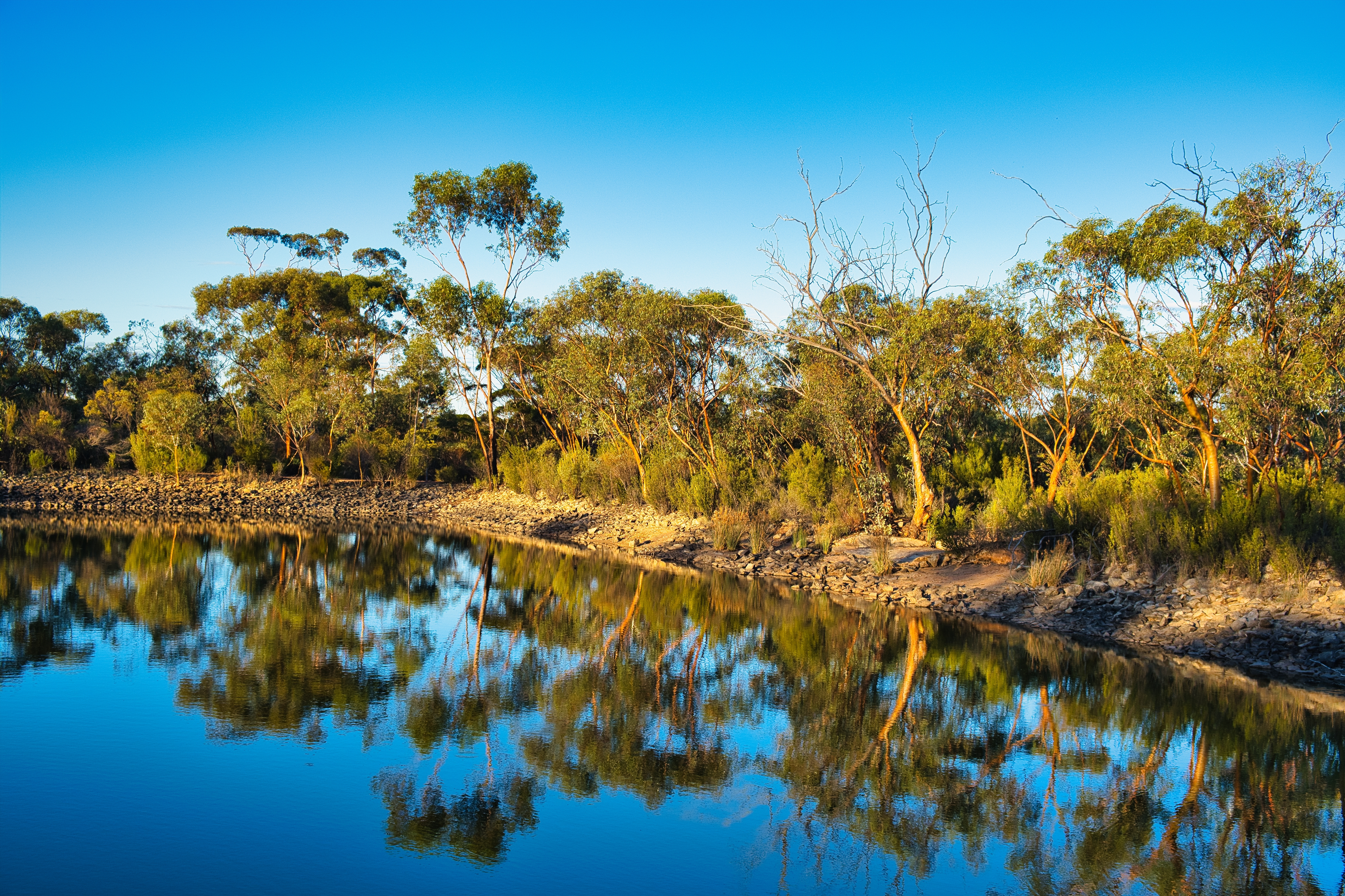 An image depicting the trail Goldfields Woodlands National Park and its surrounding area.
