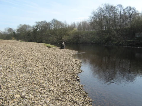 An image depicting the trail Rose Garden, Croft Mill and Stapleton Loop and its surrounding area.