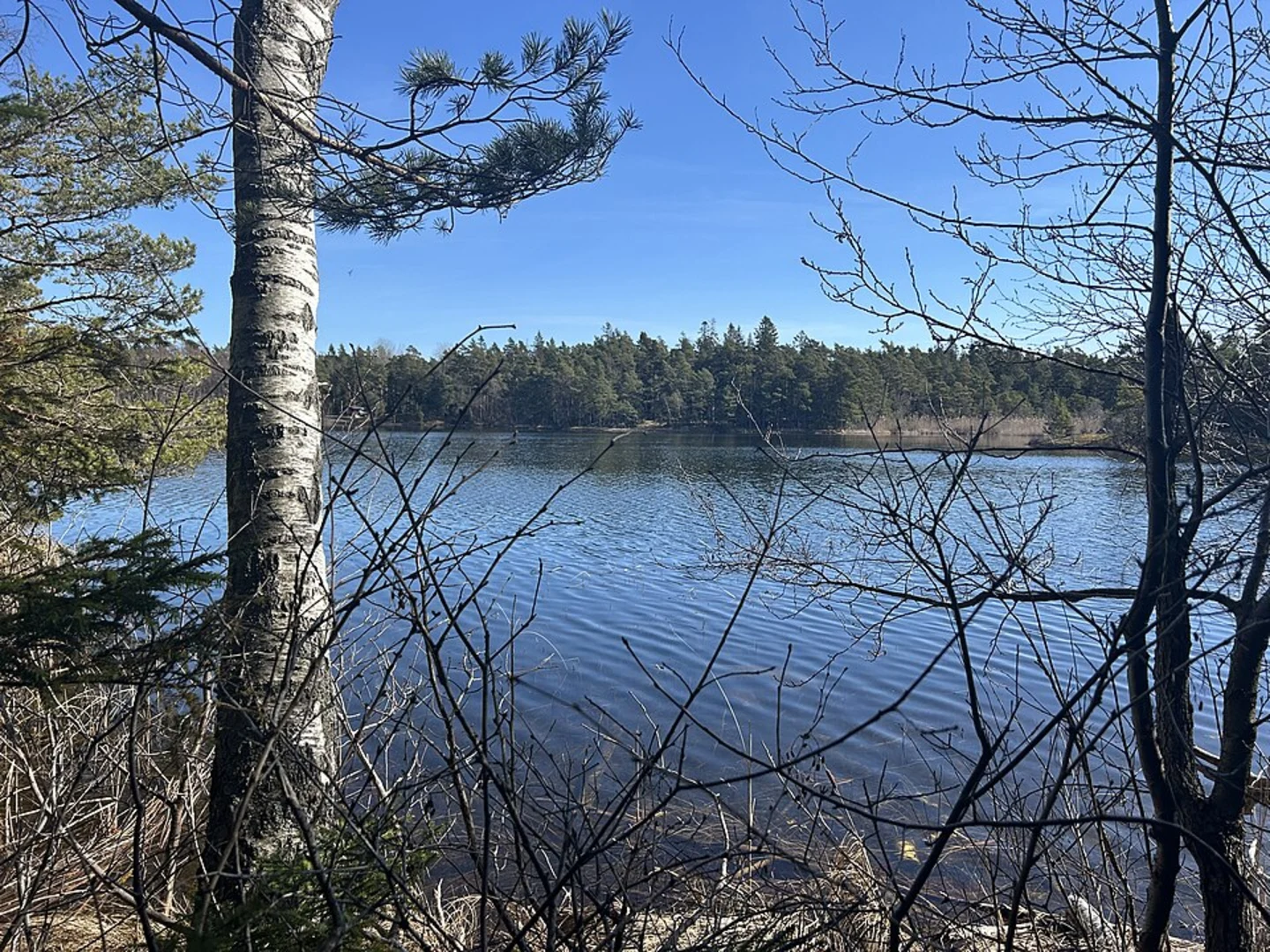 An image depicting the trail Stockholm Archipelago Trail - Runmarö and its surrounding area.