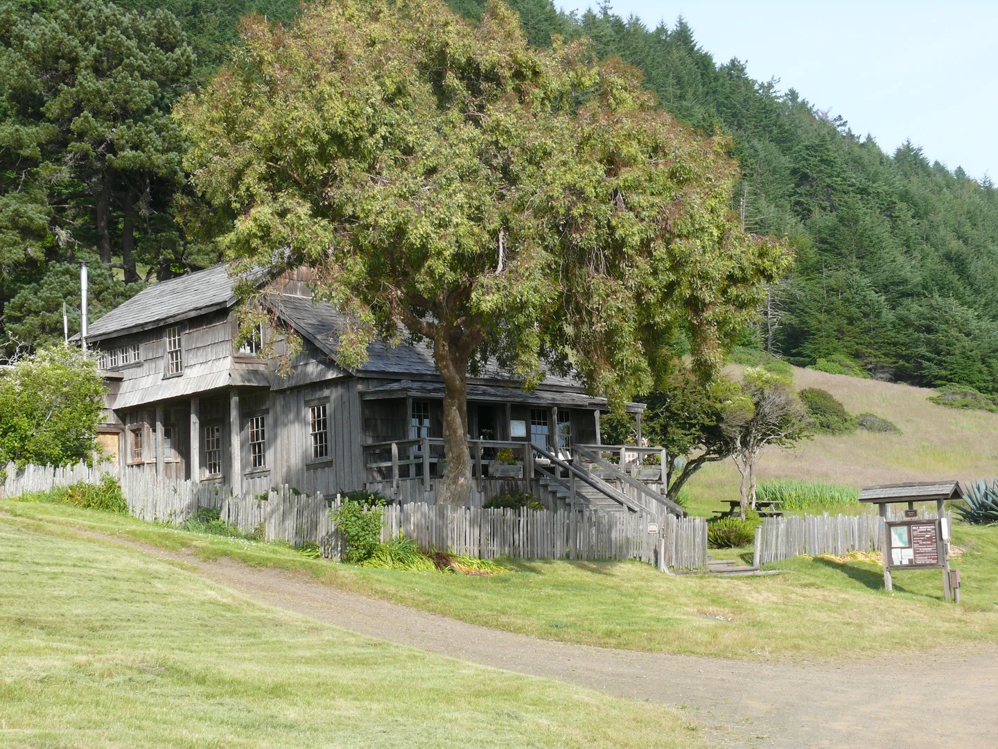 An image depicting the trail Orchard Camp - Lost Coast Trail and its surrounding area.