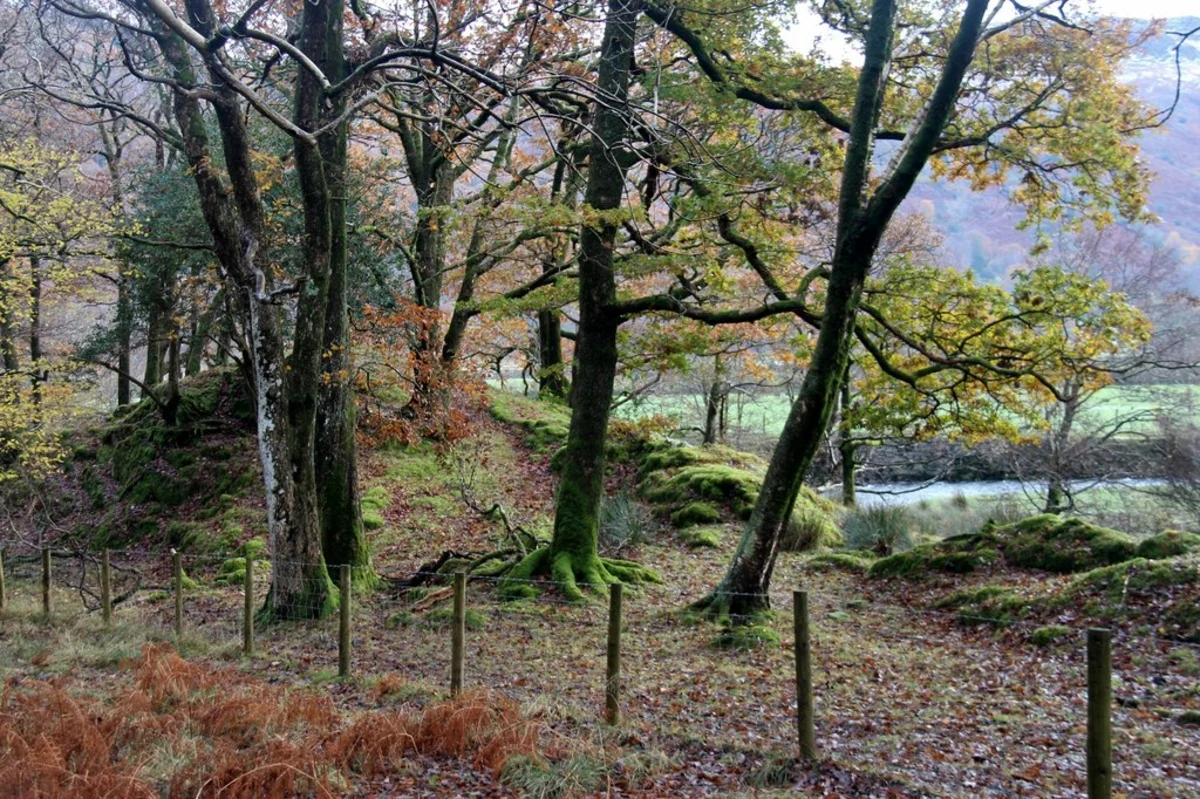 Seatoller Loop via Castle Crag and High Hows Wood