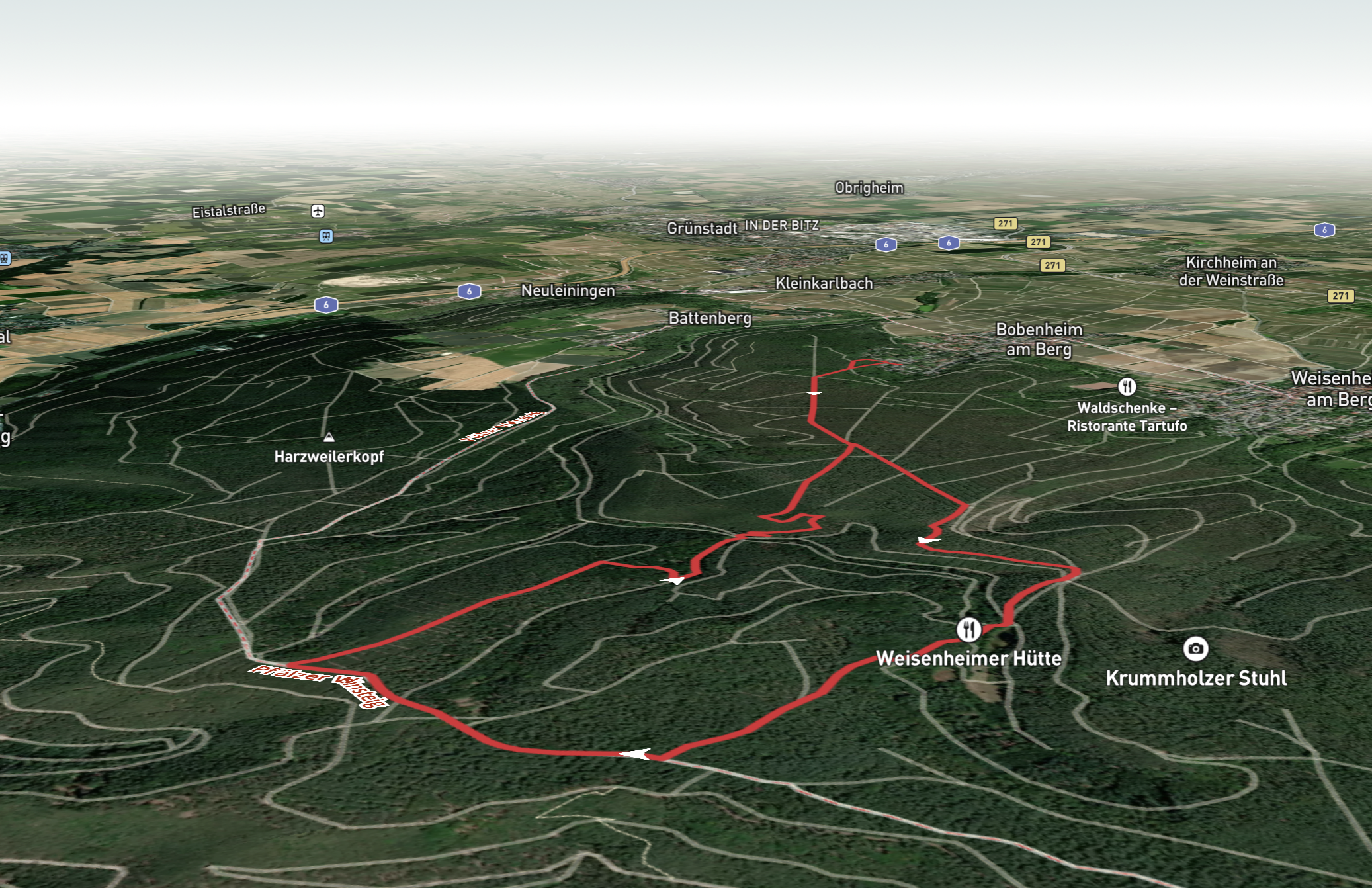 Ungeheuersee Loop via Pfaelzerwald Gruenes Kreuz