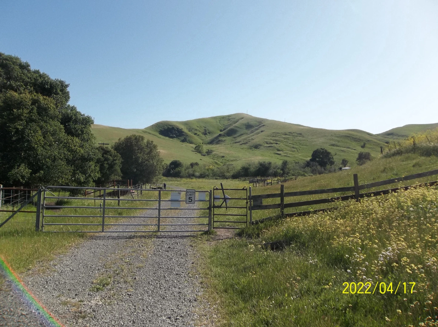 An image depicting the trail Bay Area Ridge Trail and Ken Poerner Trail and its surrounding area.