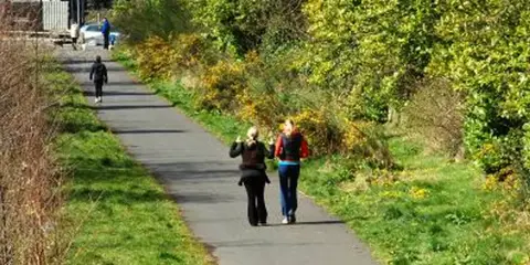 An image depicting the trail Comber Greenway and its surrounding area.