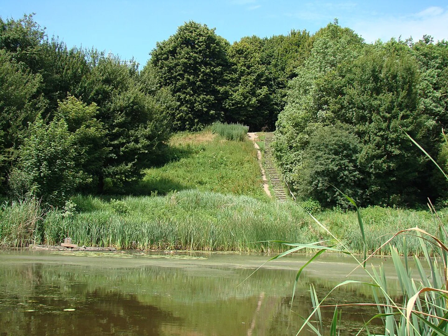 An image depicting the trail De Eerste Burcht van Kuinre and Burchtbos Loop and its surrounding area.