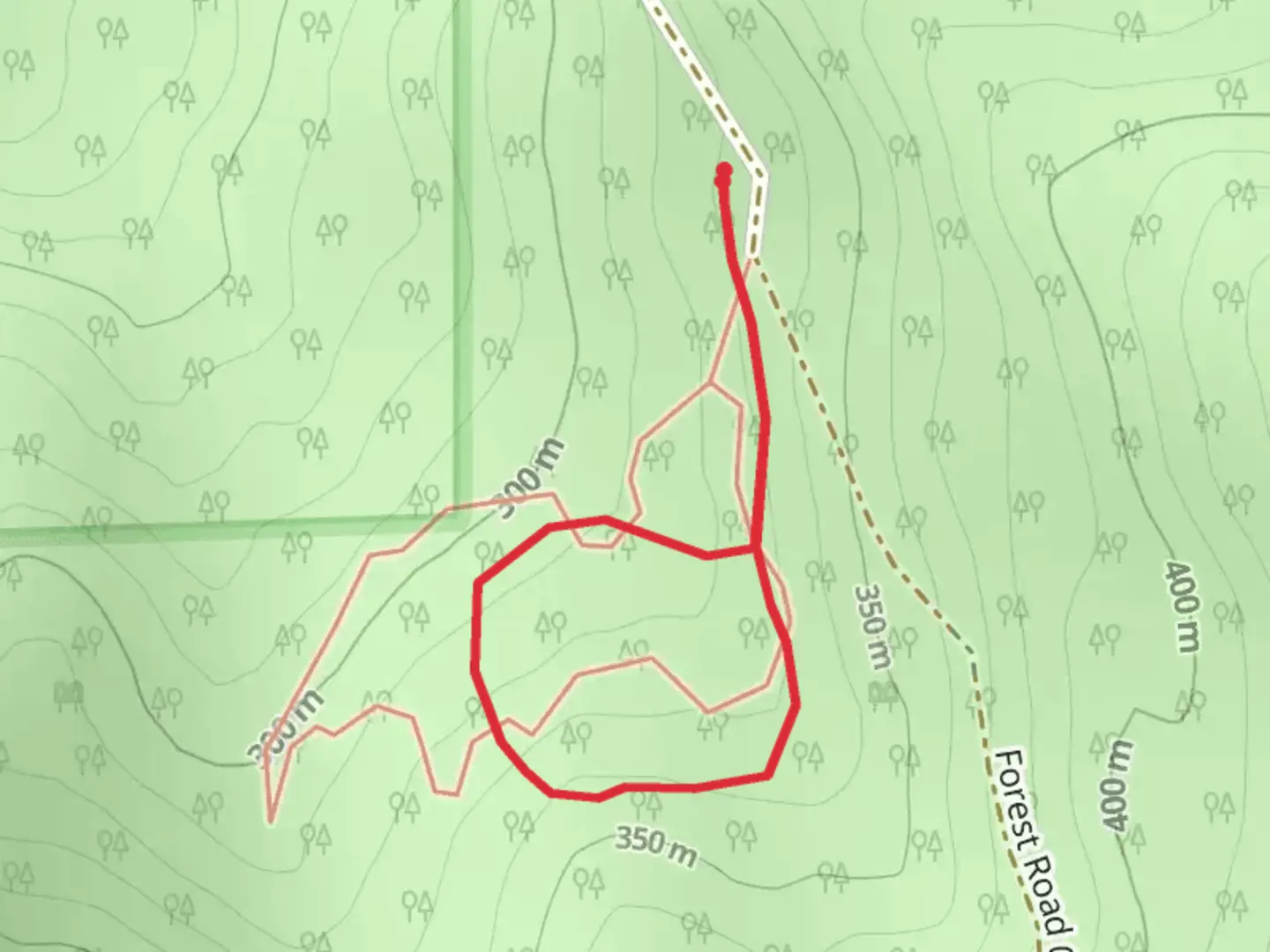 An image depicting the trail Frances Shrader Old Growth Trail and its surrounding area.