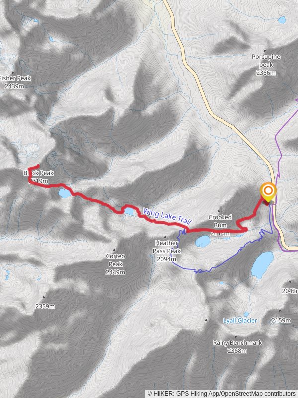 Black Peak, Wing Lake, Lewis Lake via Maple Pass Trail