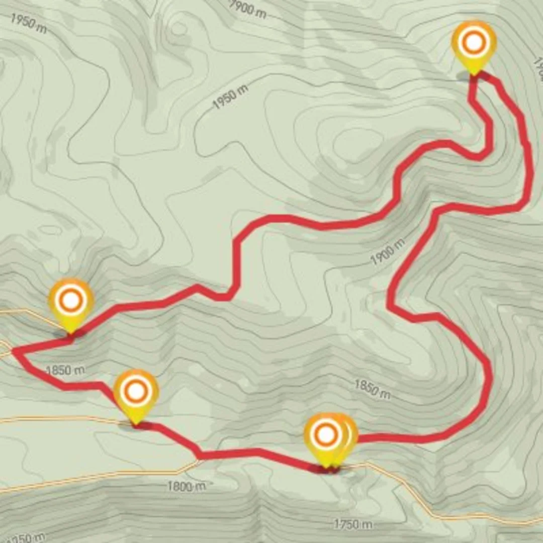 An image depicting the trail High Mountain Loop #1 and its surrounding area.