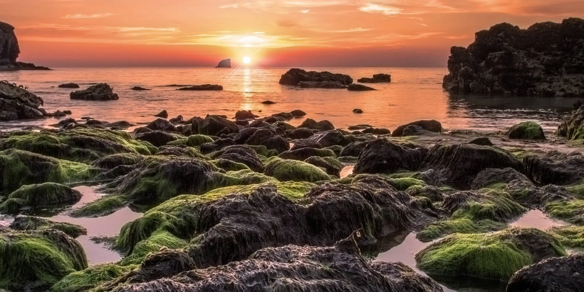 An image depicting the trail Blue Hills Walk and its surrounding area.