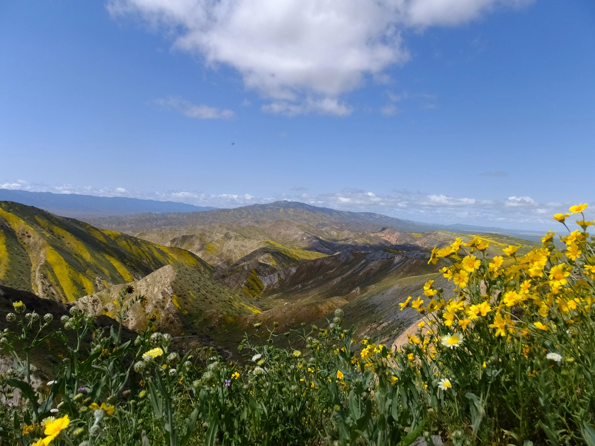 Caliente Mountian Ridge Trail